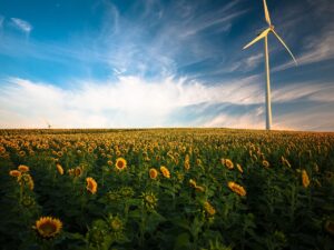 sunflowers, windmill, field, beautiful flowers, flower background, farm, sunflower farm, wind turbine, agriculture, sunflower field, wind energy, flower wallpaper, renewable energy, wind power, clouds, flora, flowers, idyllic, nature, peaceful, plants, rural, sky